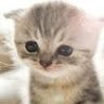 นักรบ ถนนนอก