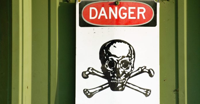 EchoVerse - Author Template - toxic culture